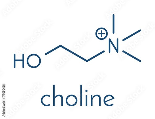 Choline essential nutrient molecule. Skeletal formula.