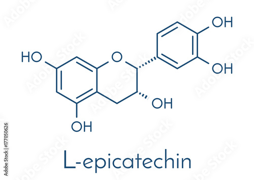 Epicatechin (L-epicatechin) chocolate flavonoid molecule. Skeletal formula. photo