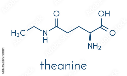 Theanine herbal molecule. Constituent of tea prepared from Camellia sinensis. Also taken as nutritional supplement. Skeletal formula. photo