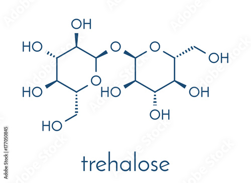 Trehalose (mycose, tremalose) sugar molecule. Skeletal formula. photo