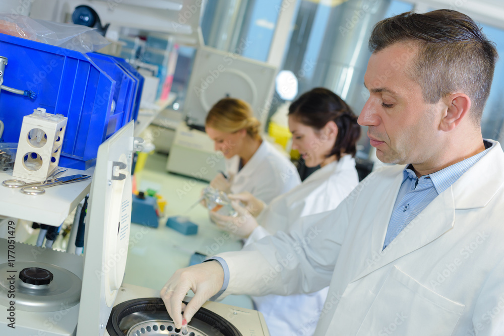 Obraz premium classifying the organisms