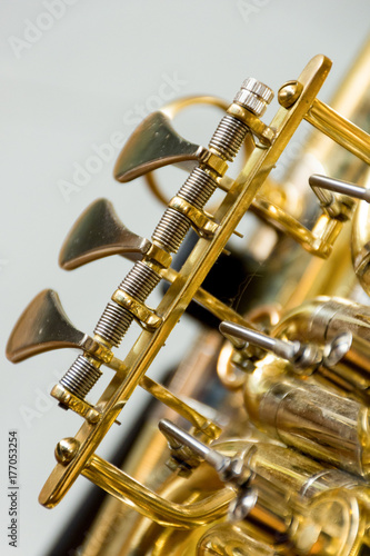 Tenorhorn photo