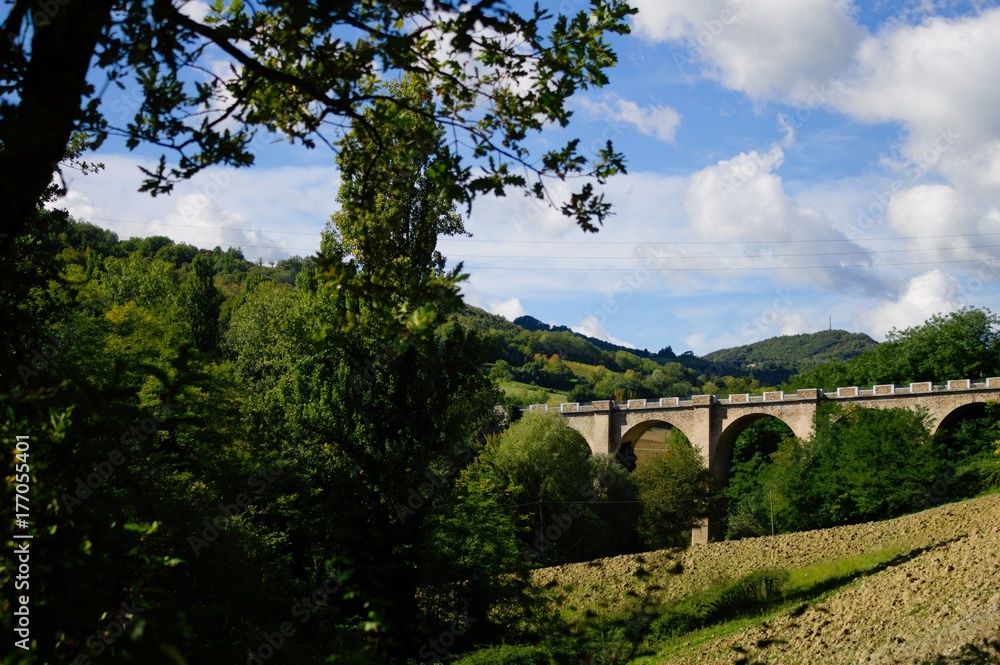 Railway bridge in the nature (Urbino, Italy)
