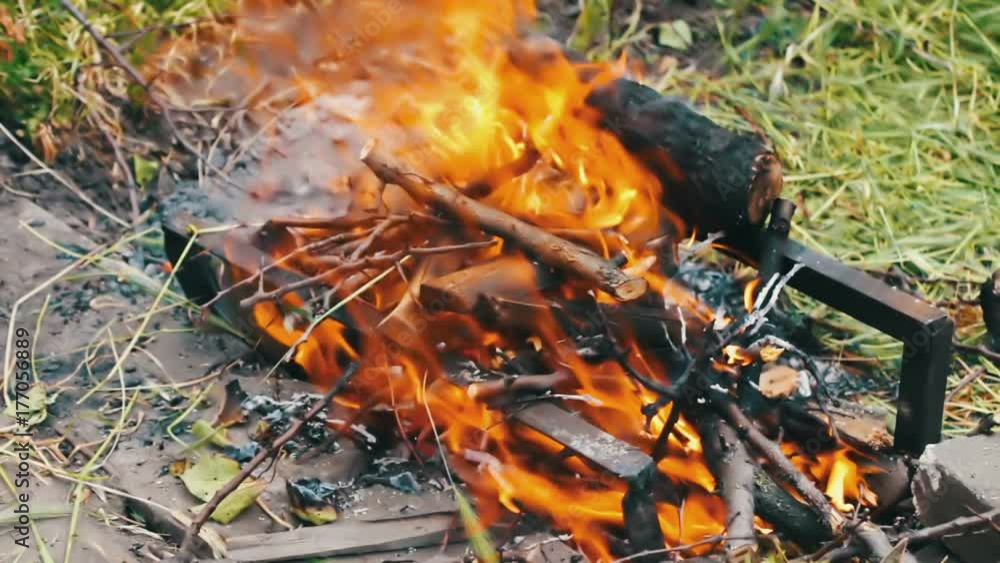 Dry branches burn on ground, branches of trees burn on fire Dry branches burn on ground, branches of trees burn on fire