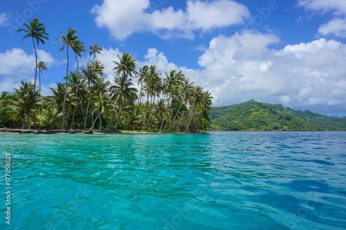 Wybrzeże kokosowe na Polinezji Francuskiej na motu Vavaratea z wyspą Huahine w tle, Faie, ocean południowego Pacyfiku, Oceania