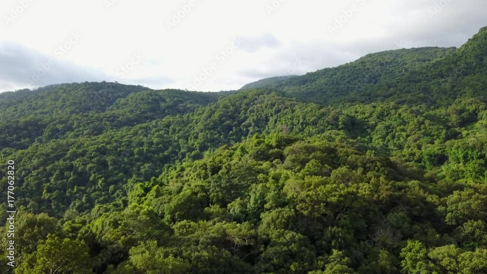 Aerial shot with a drone of a tropical rain forest in Thailand
Aerial shot with a drone of a tropical rain forest in Thailand