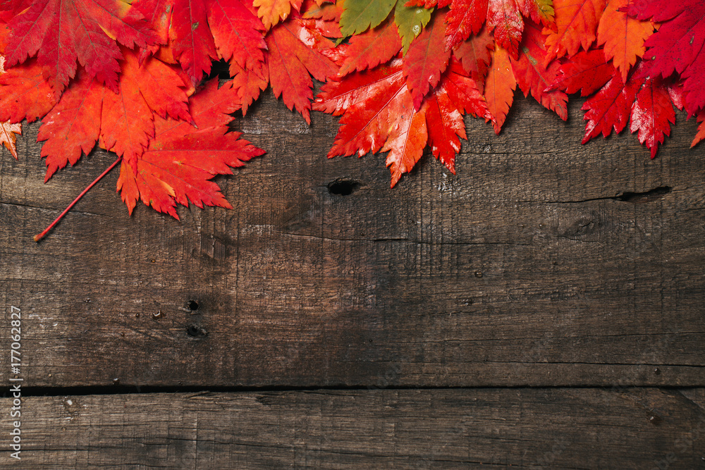 Obraz premium Autumn leaves on old vintage wooden background.