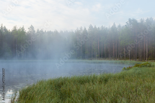 Foggy morning at forest pond landscape Finland