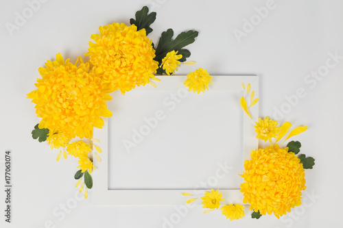 Stampa su tela White border with yellow chrysanthemums daisy flowers on white background