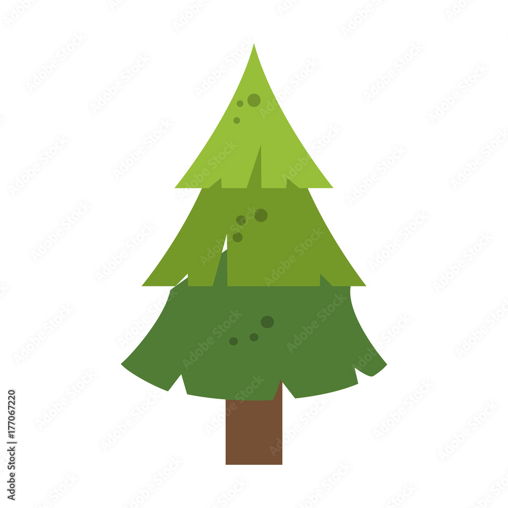 pine tree icon image vector illustration design 