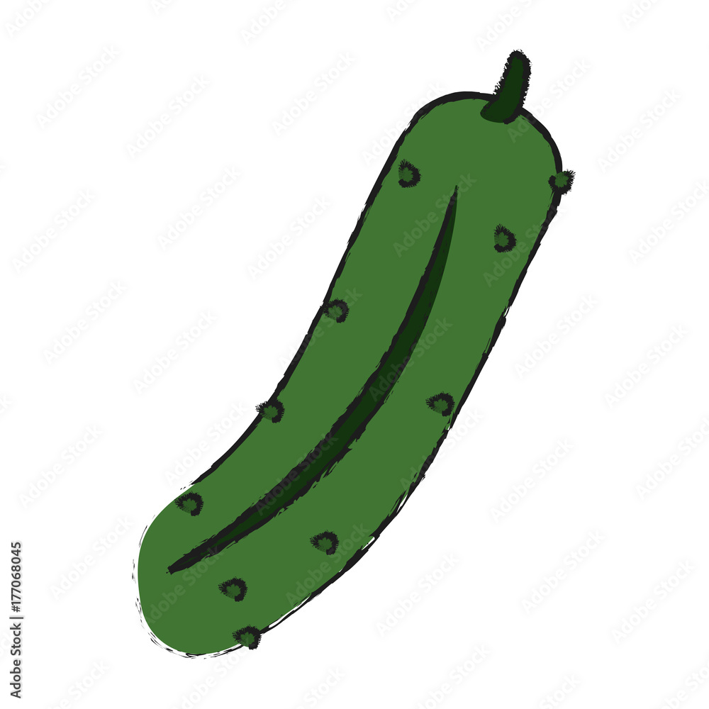 Cucumber fresh vegetable icon vector illustration graphic design Cucumber fresh vegetable icon vector illustration graphic design