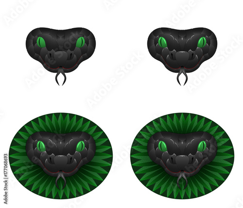 Grey snake head, vector illustration of snake head