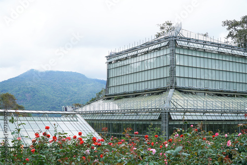 Green house buildings for a variety of plants. To control temperature and airflow. It is a place to study the academic knowledge. Mountainous landscape with back and mist. Decorated with roses.