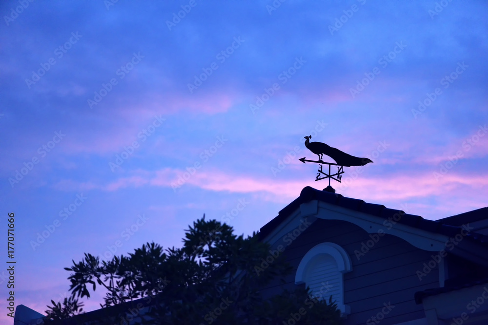 weather vane at sunrise with bright colors in clouds. weather vane at sunrise with bright colors in clouds.