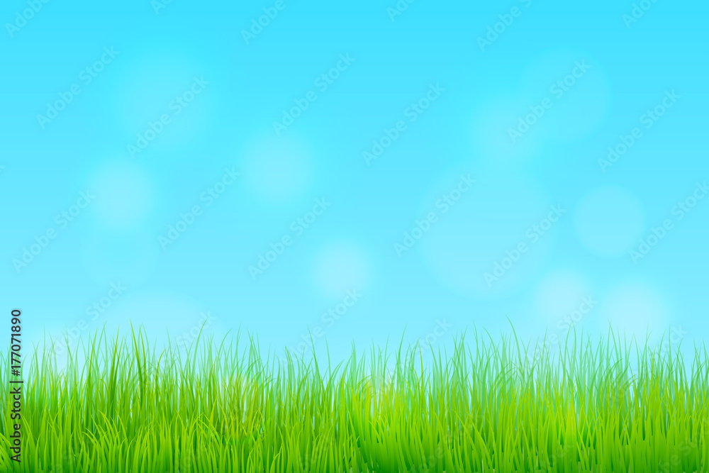 Happy Spring Season Background with meadow and clear sky.