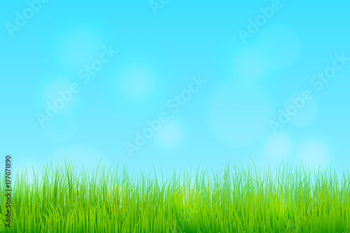 Happy Spring Season Background with meadow and clear sky. © Chuenmanuse