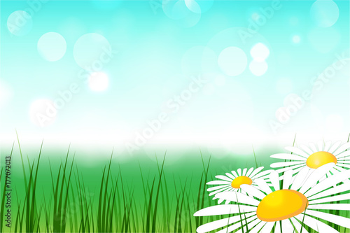 Happy Spring Season Background with Three Daisy Flowers. Summer scene with chamomiles and green grass meadow. Vector Illustration.