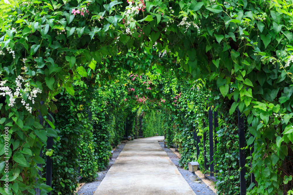 Beautiful footpath in the garden. Beautiful footpath in the garden.