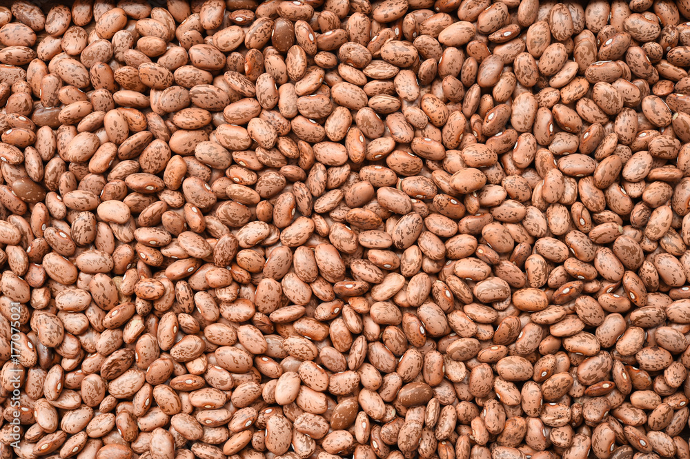 Pinto bean for background Pinto bean for background