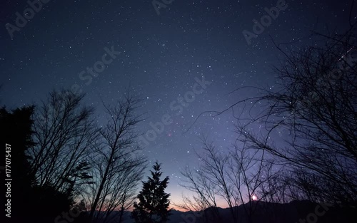 樹間に沈む冬の星座の微速度撮影