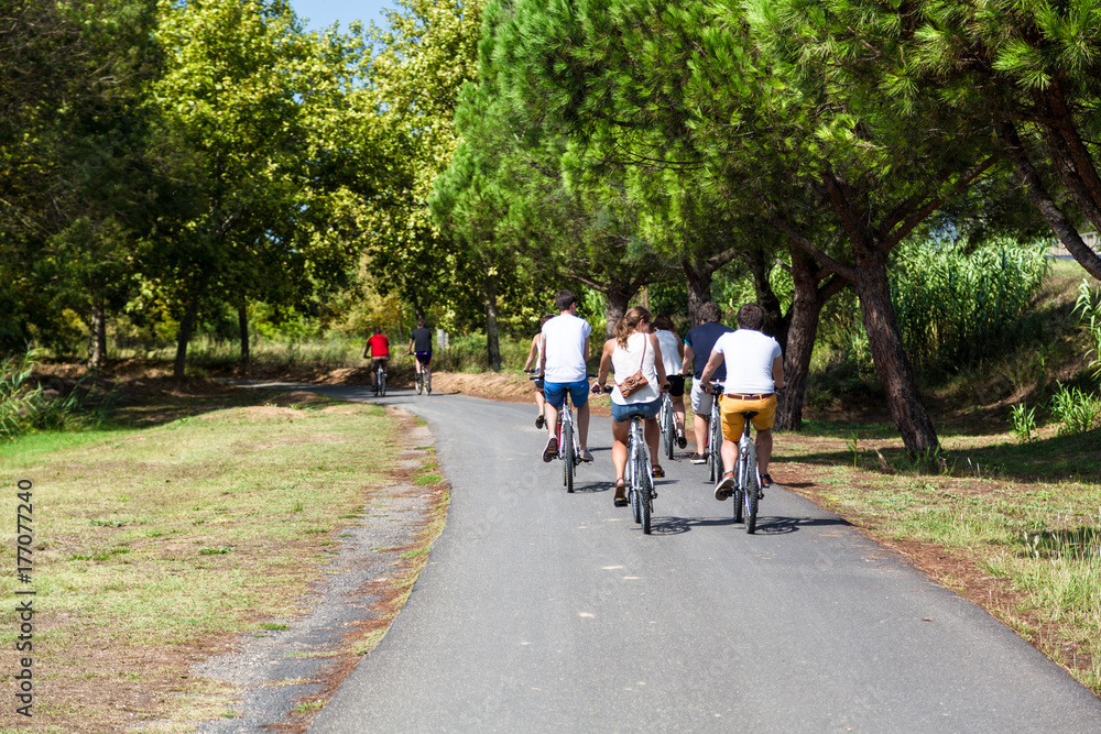 riding the bicycle on a sunny summer day riding the bicycle on a sunny summer day