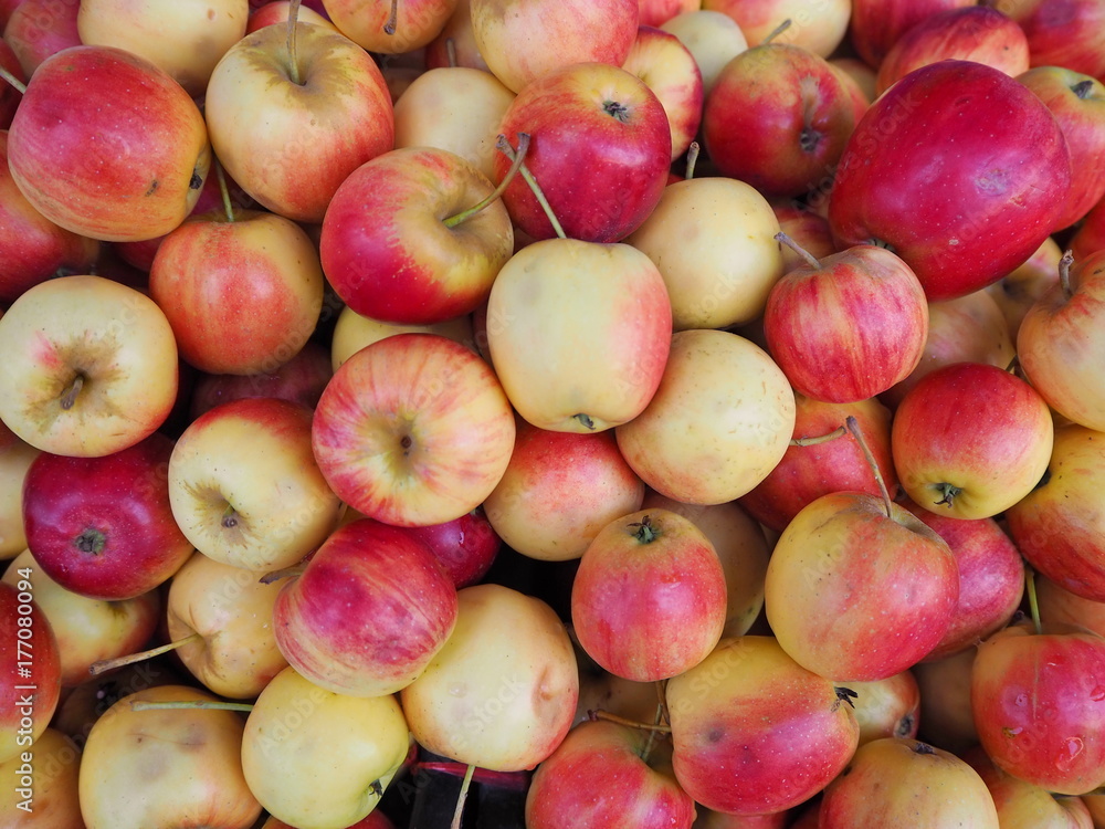 Apple Apple