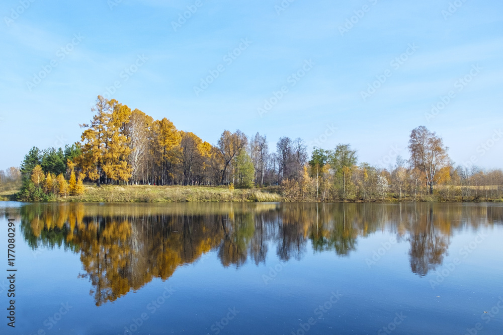 autumn landscape. trees with yellow leaves reflected in the water.