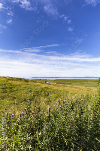 Portrait view of fields and blue summer sky in Linicro on the Isle of Skye in Scotland. © Danaan