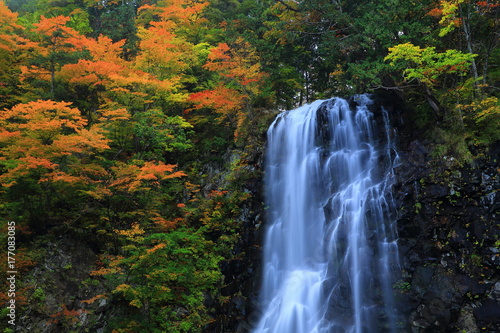 立又渓谷 紅葉の一の滝