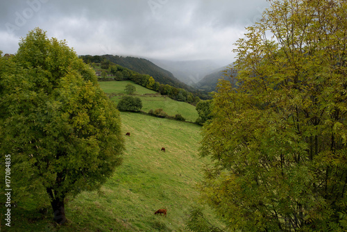 Landschaft im Cantal in der Auvergne