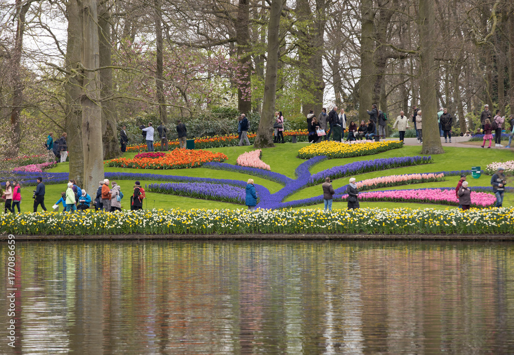 Colorful flowers in the Keukenhof Garden in Lisse, Holland, Netherlands.
