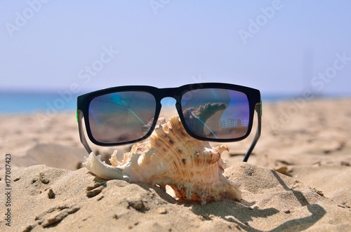 shell and sunglasses on the sand