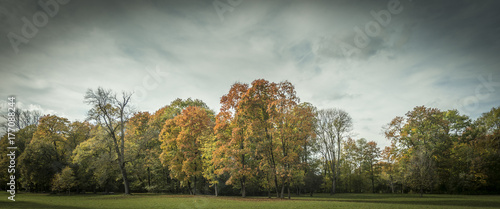 Englischer Garten im Herbst I