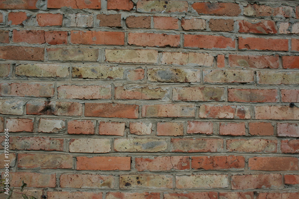 wall a brick