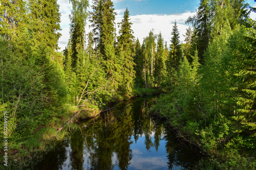 Beautiful forest river in summer next to the old village Beautiful forest river in summer next to the old village