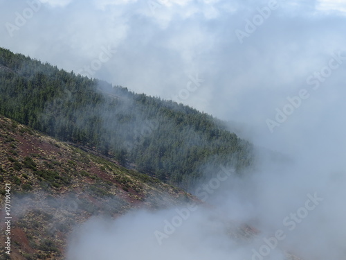 In the clouds of the island of Tenerife! Canary Islands. (The Vast Russia! Sergey, Bryansk.)