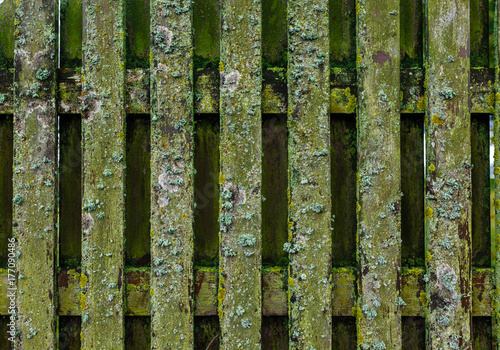 Ornament and texture of a wooden fence.