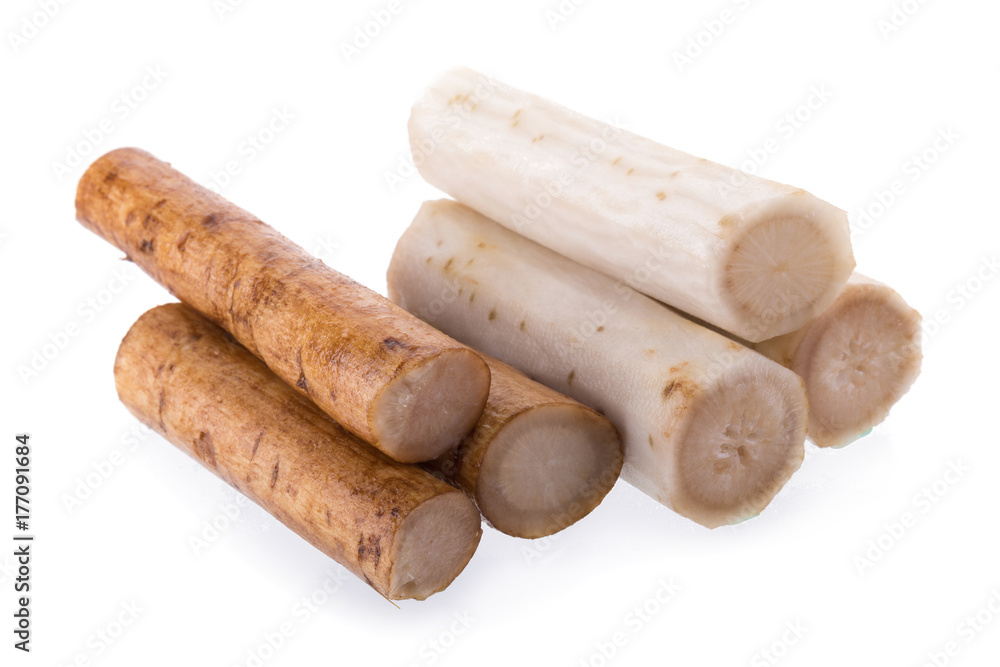 Fresh Burdock roots isolated on white background Fresh Burdock roots isolated on white background