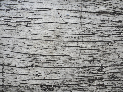 Fototapeta Naklejka Na Ścianę i Meble -  old white wood texture