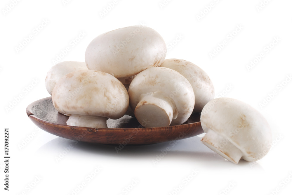 champignon isolated on white background champignon isolated on white background