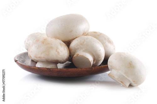 champignon isolated on white background