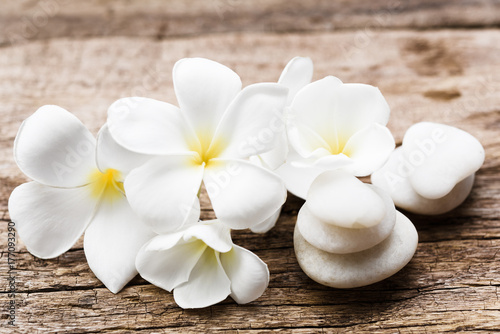 Beautiful plumeria or temple spa flower with white zen stones on rustic wood background
