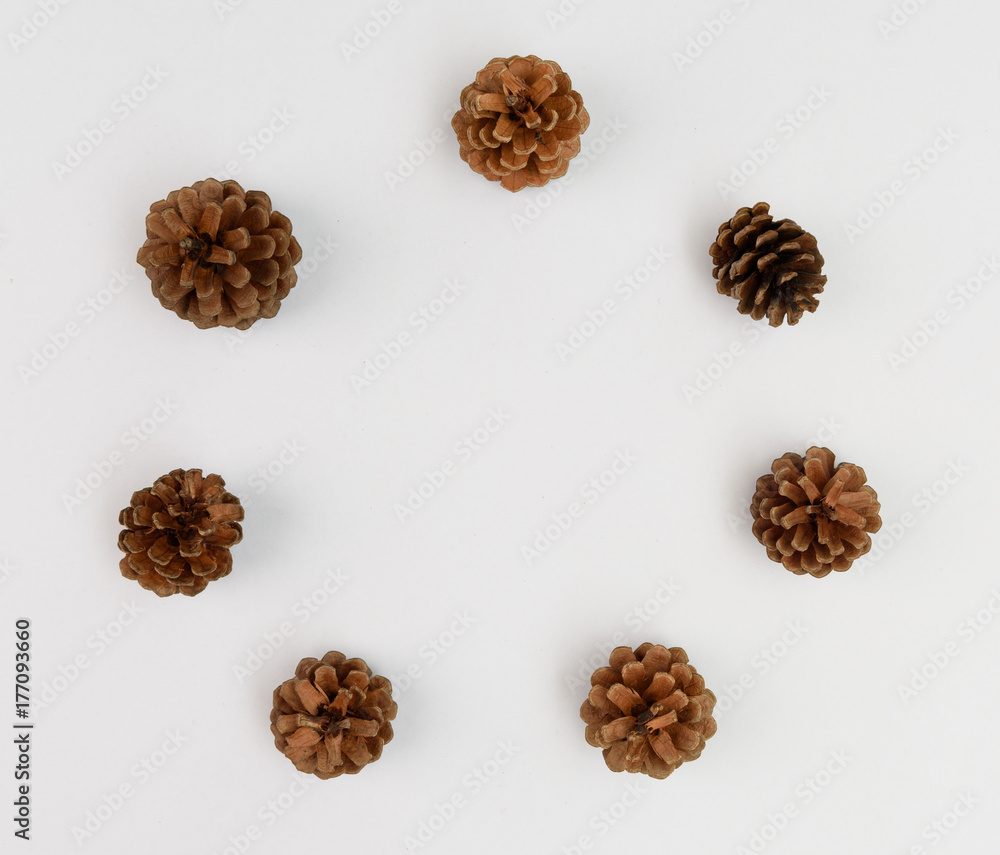 Pine cones circle frame on white background,Christmas ornament Pine cones circle frame on white background,Christmas ornament