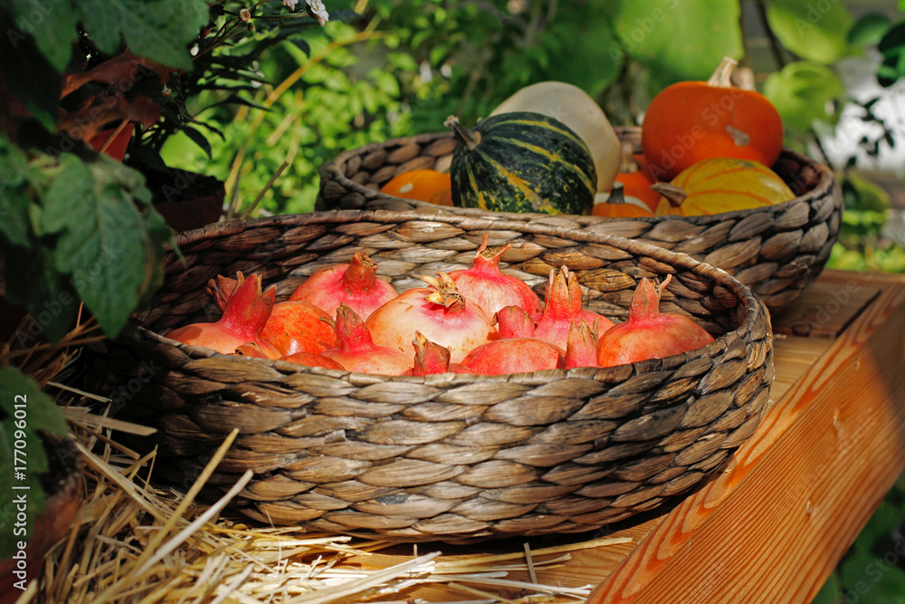 Grenades and little colorful pumpkins in wicker baskets