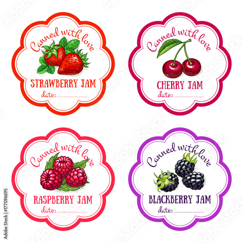 Labels with hand drawn fruits and berries set of vector. Strawberry, cherry, blackberry, raspberry.