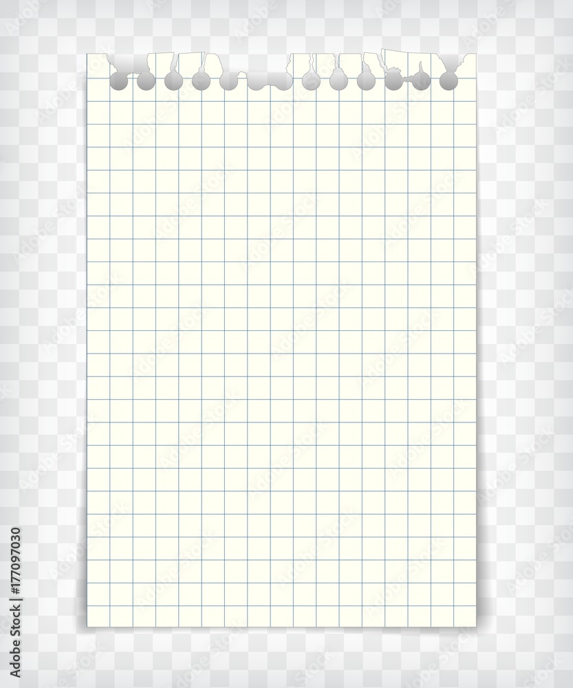 Empty checkered note book page with torn edge Empty checkered note book page with torn edge