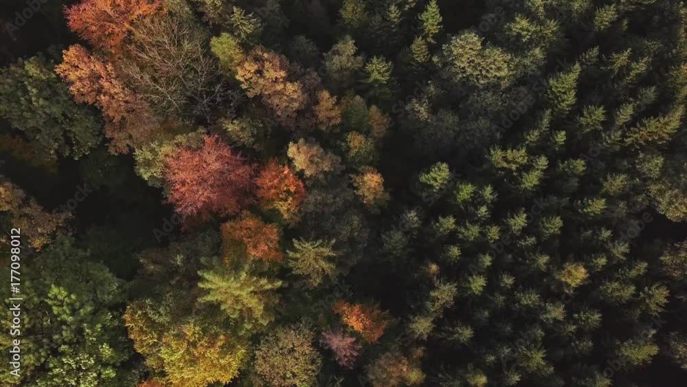 AERIAL 4K: Flight Over Autumn Mountains Covered with Colourful Forests. Drone Straigh Down View at sunset hills with vibrant foliage and meadows in fall. Cinematic landscape. AERIAL 4K: Flight Over Autumn Mountains Covered with Colourful Forests. Drone Straigh Down View at sunset hills with vibrant foliage and meadows in fall. Cinematic landscape.