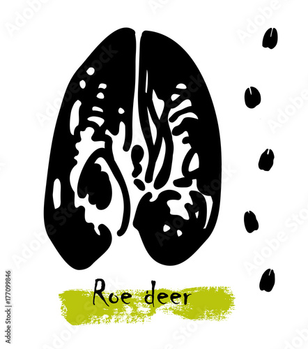 Silhouettes of traces of wild animals. Traces of a roe deer. Vector illustration