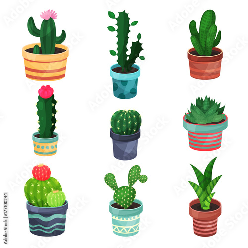 Houseplant set, various plants and flowers in pots vector illustrations