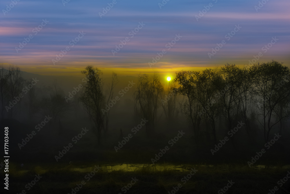 Sunrise and fog in the countryside.